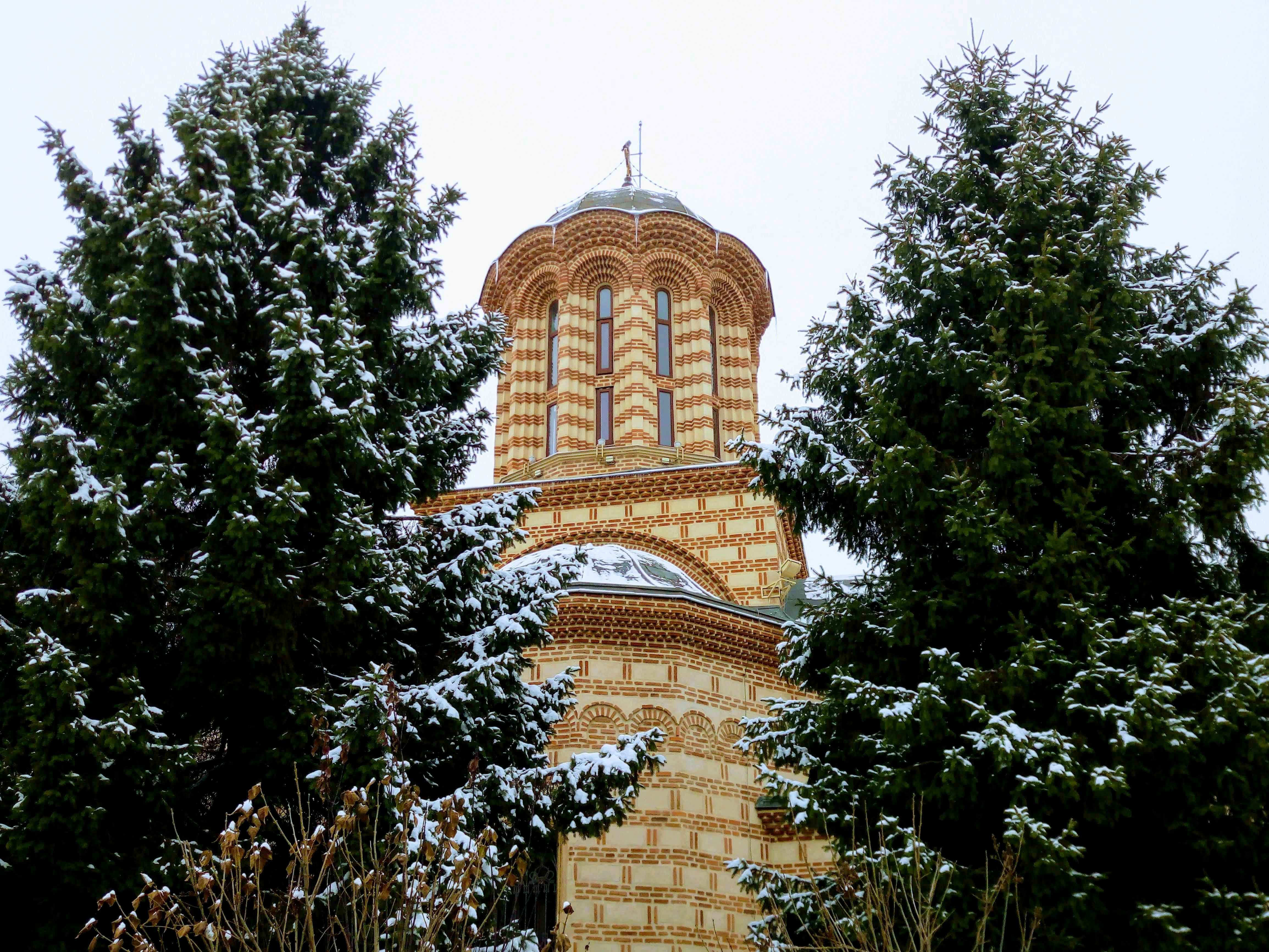 Bucareste - Professional handyman and home services