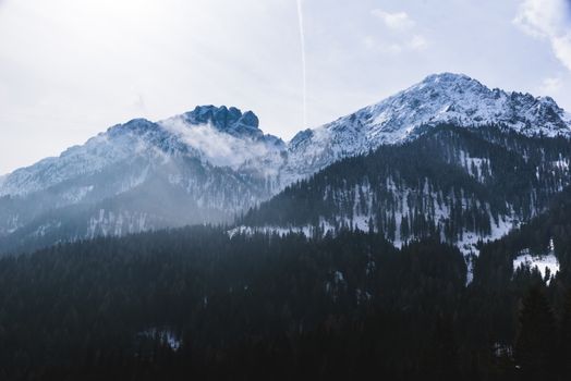 A breathtaking aerial view of snow-capped mountains and dense forest in winter.