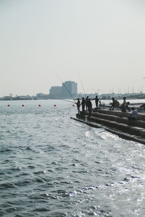 People Catching Fish by the Sea · Free Stock Photo