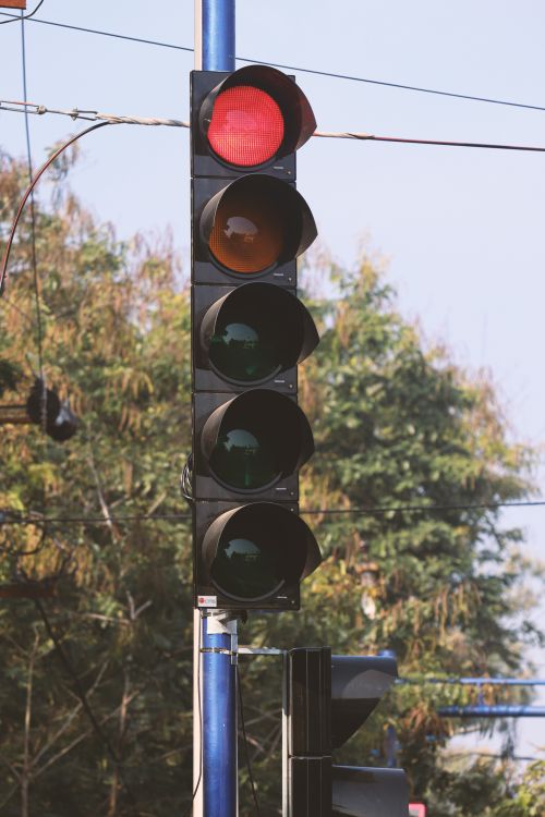 Free Traffic light showing a red stop signal against a backdrop of trees in Sundargarh, India. Stock Photo