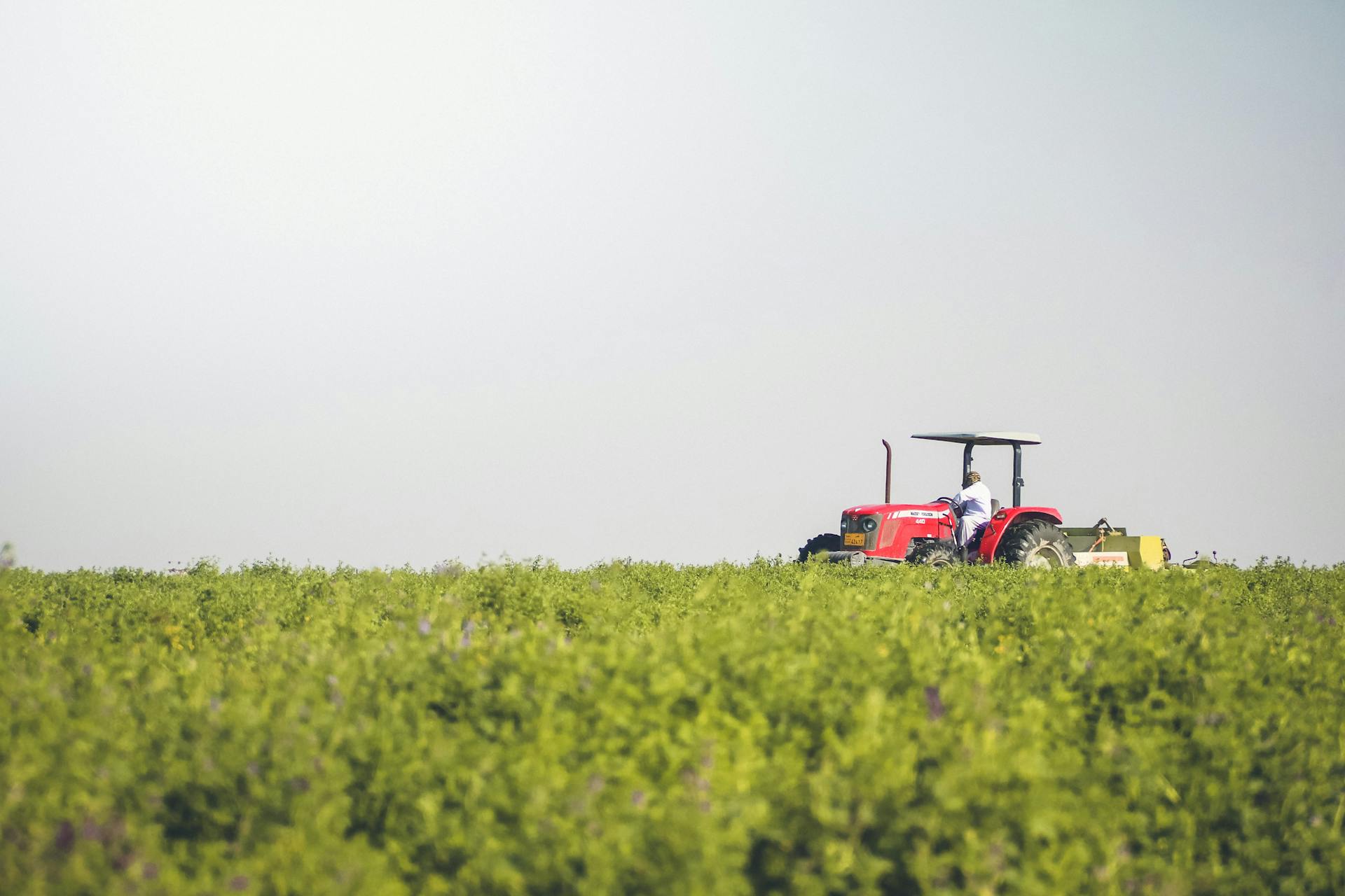 A red tractor operating in a lush green field at Al Markhiya West, Qatar, highlighting modern agriculture.