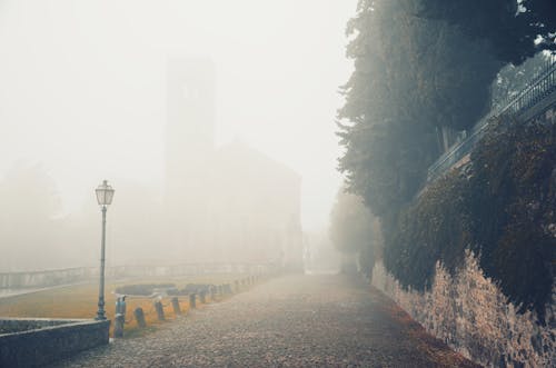 A Pathway During Foggy Weather