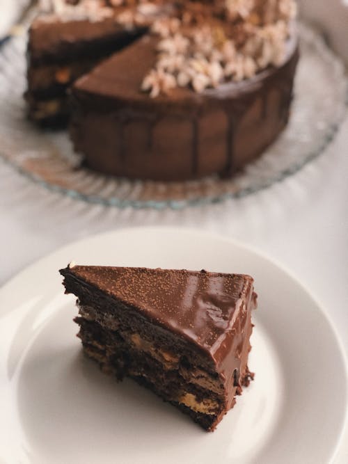 Slice of Cake on White Plate