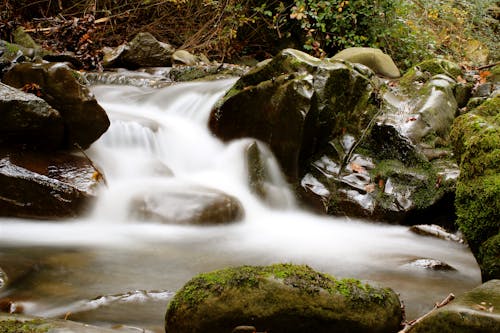 무료 가을, 강, 개울의 무료 스톡 사진
