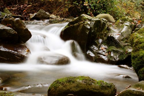 Free Serene waterfall cascading over mossy rocks in Loro Ciuffenna, Tuscany. Captured in autumn for a peaceful landscape view. Stock Photo