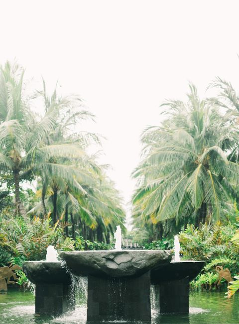 Serene tropical fountain amidst lush palm trees and green foliage in a tranquil park setting.