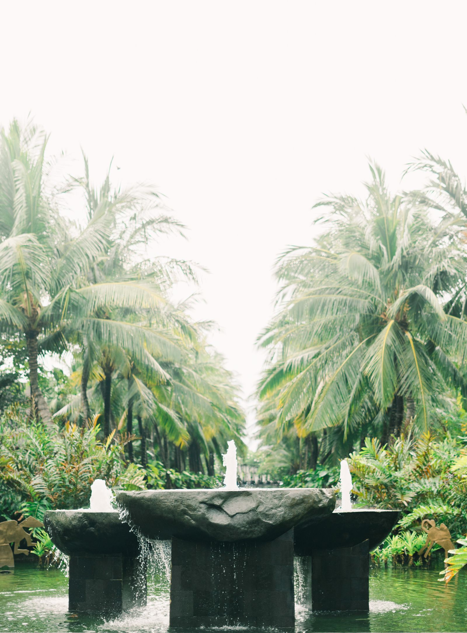 Green palm trees and a tranquil fountain in a formal garden