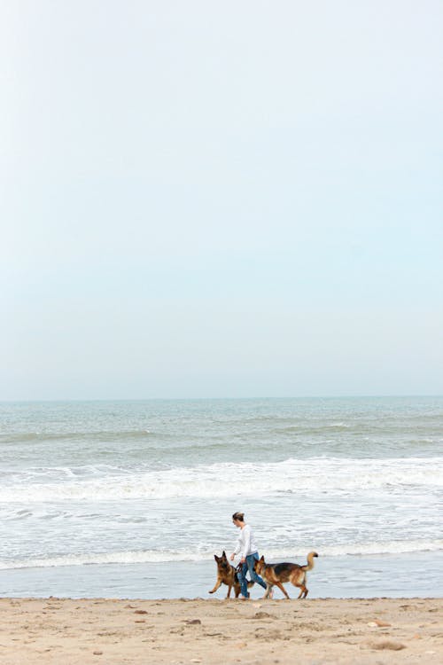 boş zaman, deniz, dikey atış içeren Ücretsiz stok fotoğraf