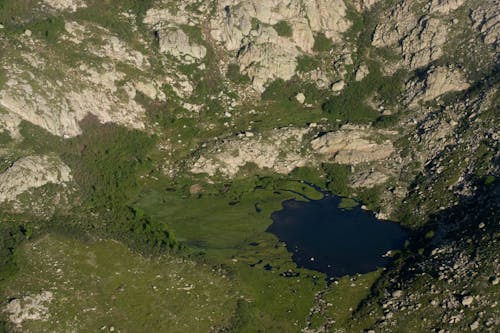 Lake on Mountain with Trees 