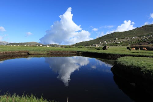 Free stock photo of cloud, corsica island, mirror