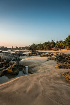 缅甸宁静的沿海景观，日出时拍摄，棕榈树和岩石点缀其间