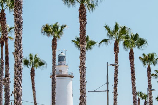Lighthouse surrounded by vibrant palm trees in Córdoba, Spain, under a clear blue sky.