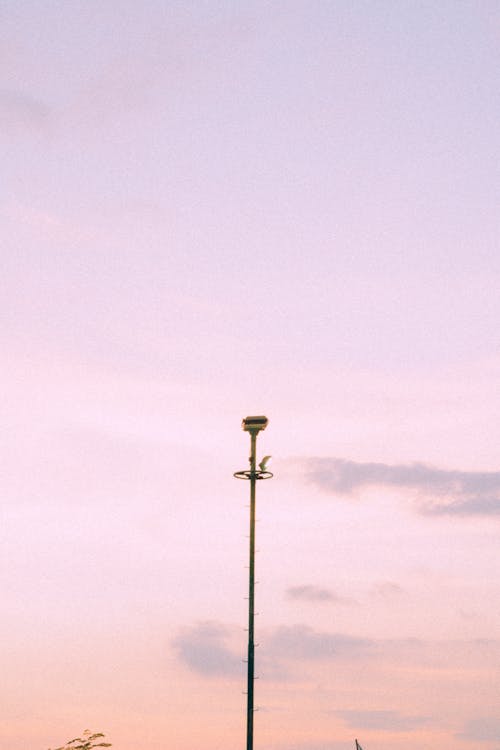 Free Drone Shot of a Lamp Post Stock Photo
