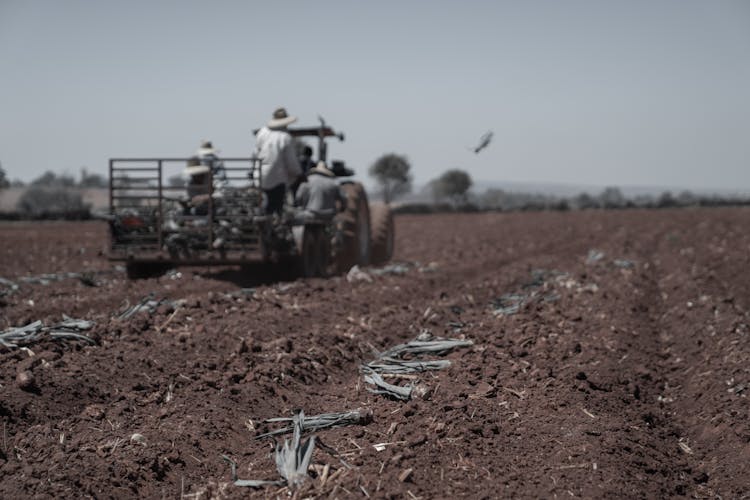 Farmers On Tractor Plowing On Field