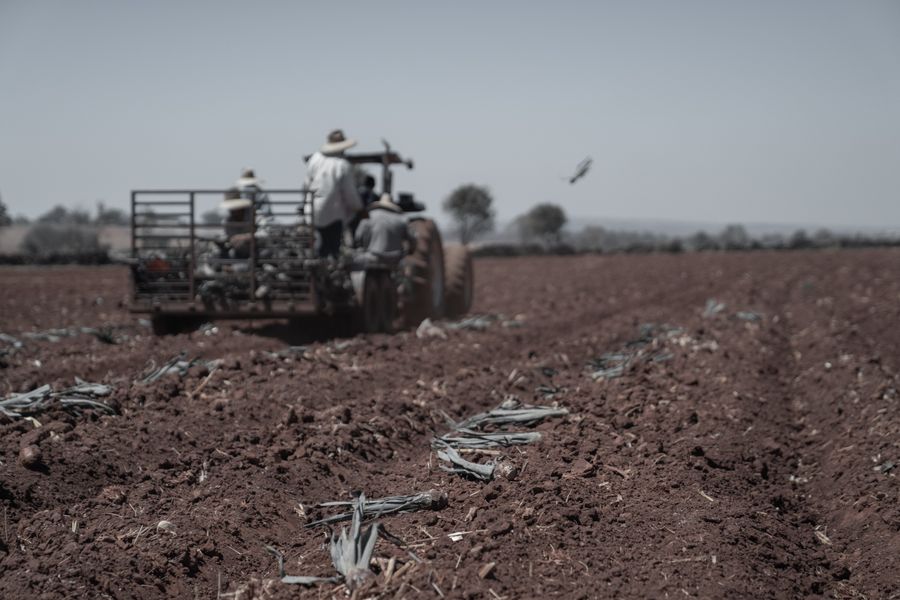 Agricultores em trator arando terreno