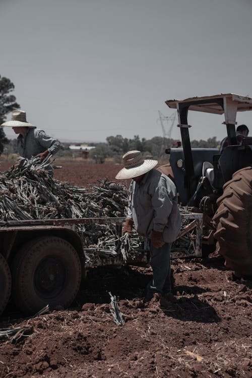 Gratis stockfoto met aanhangwagen, bodem, boer