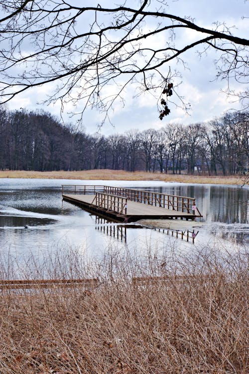 Darmowe zdjęcie z galerii z jezioro, krajobraz, las