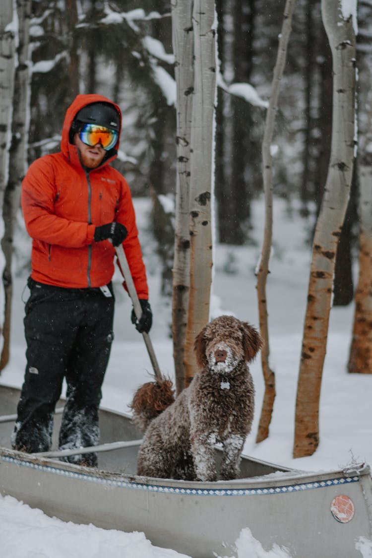 Man And Dog In Kayak In Snow