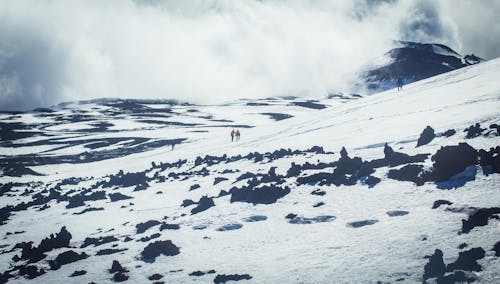 Foto d'estoc gratuïta de a l'aire lliure, blanc, caminant