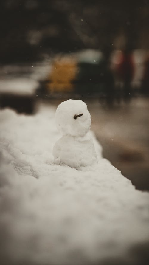 Selective Focus Photo of Snowman