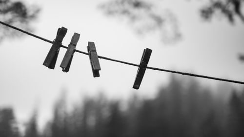Free Black and white image of clothespins on a rope set against a blurred forest backdrop. Stock Photo