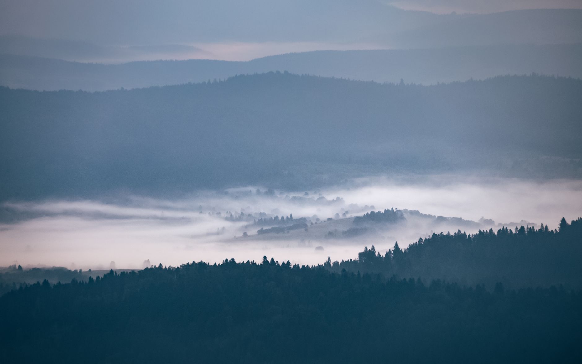 Serene view of misty Bieszczady mountains at dawn, capturing the tranquil beauty of nature.. pexels, serene, view