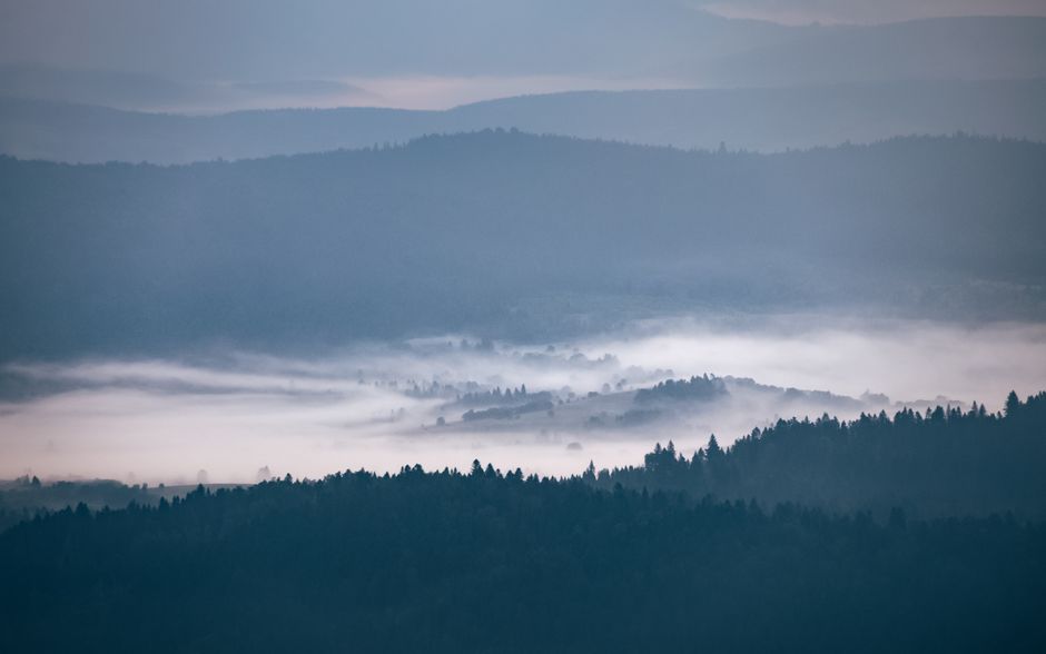 Serene view of misty Bieszczady mountains at dawn, capturing the tranquil beauty of nature.