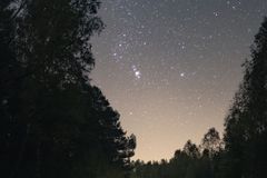 A breathtaking starry night sky over a winding road surrounded by trees in Poland.