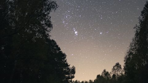 A breathtaking starry night sky over a winding road surrounded by trees in Poland.