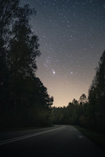 Star-filled sky over a forest road, photo by Marek Piwnicki on Pexels