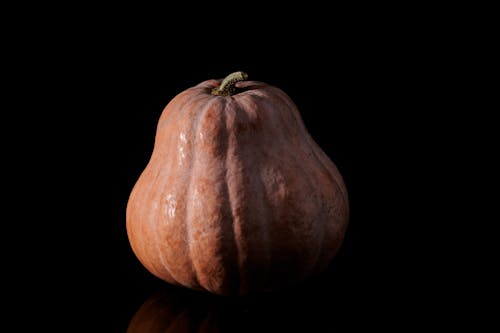 Orange Pumpkin on Close-Up Photo