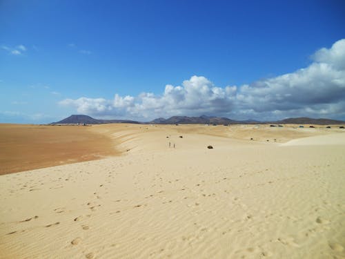 Základová fotografie zdarma na téma corralejo, duny, fuerteventura