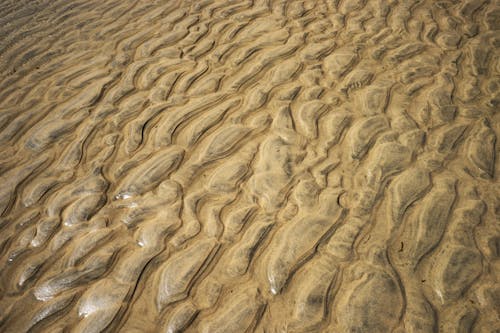 Základová fotografie zdarma na téma moře, písek, pláž