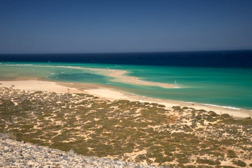 Základová fotografie zdarma na téma fuerteventura, oceán, pláž