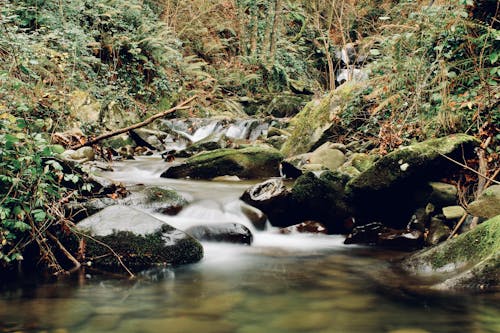 คลังภาพถ่ายฟรี ของ กระแสน้ำ, ตะไคร่น้ำ, ทัสคานี