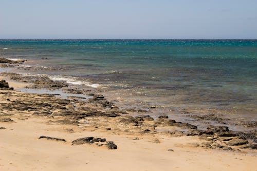 Free stock photo of background, beach, rock