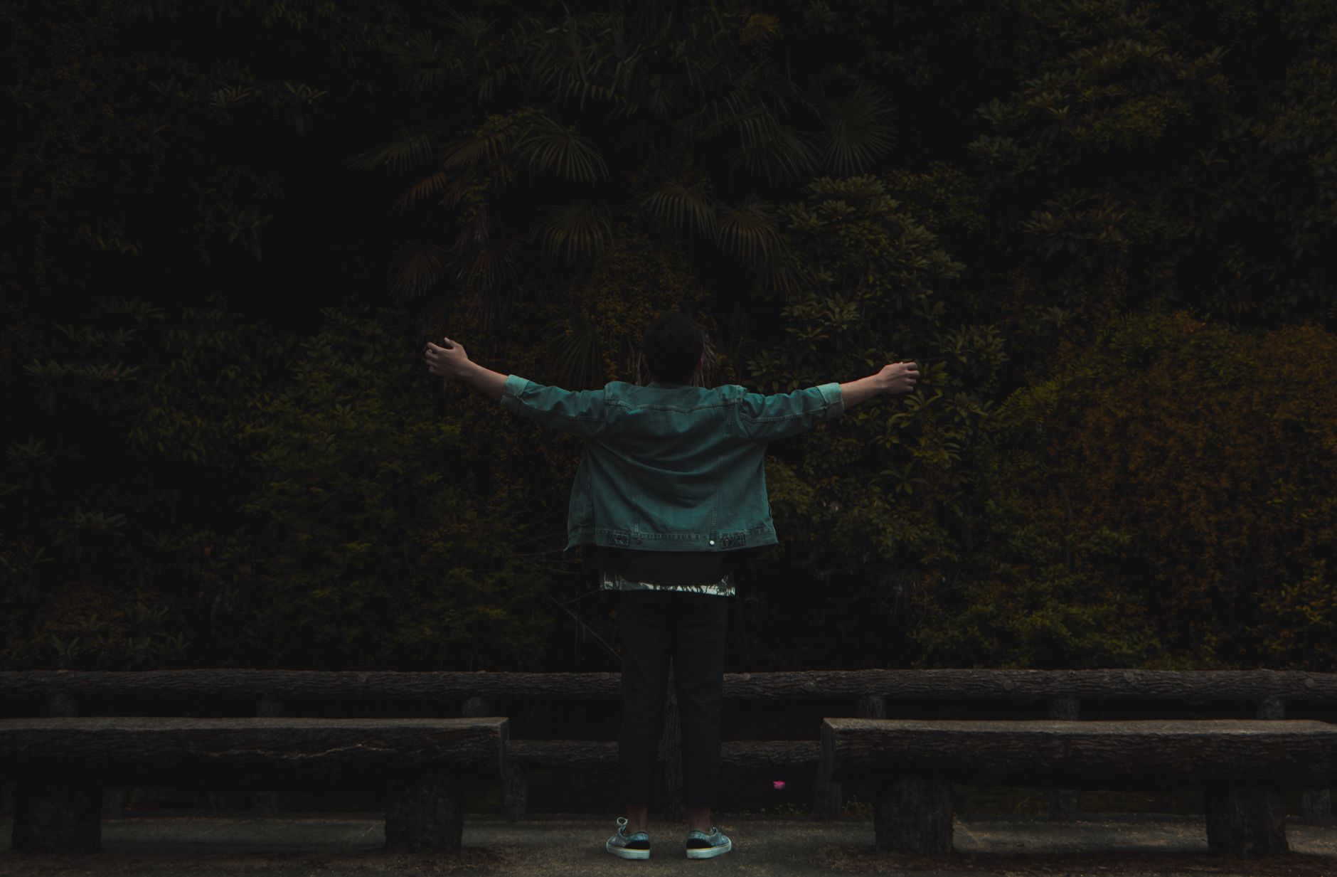 Solo traveler enjoying the natural beauty of Japan