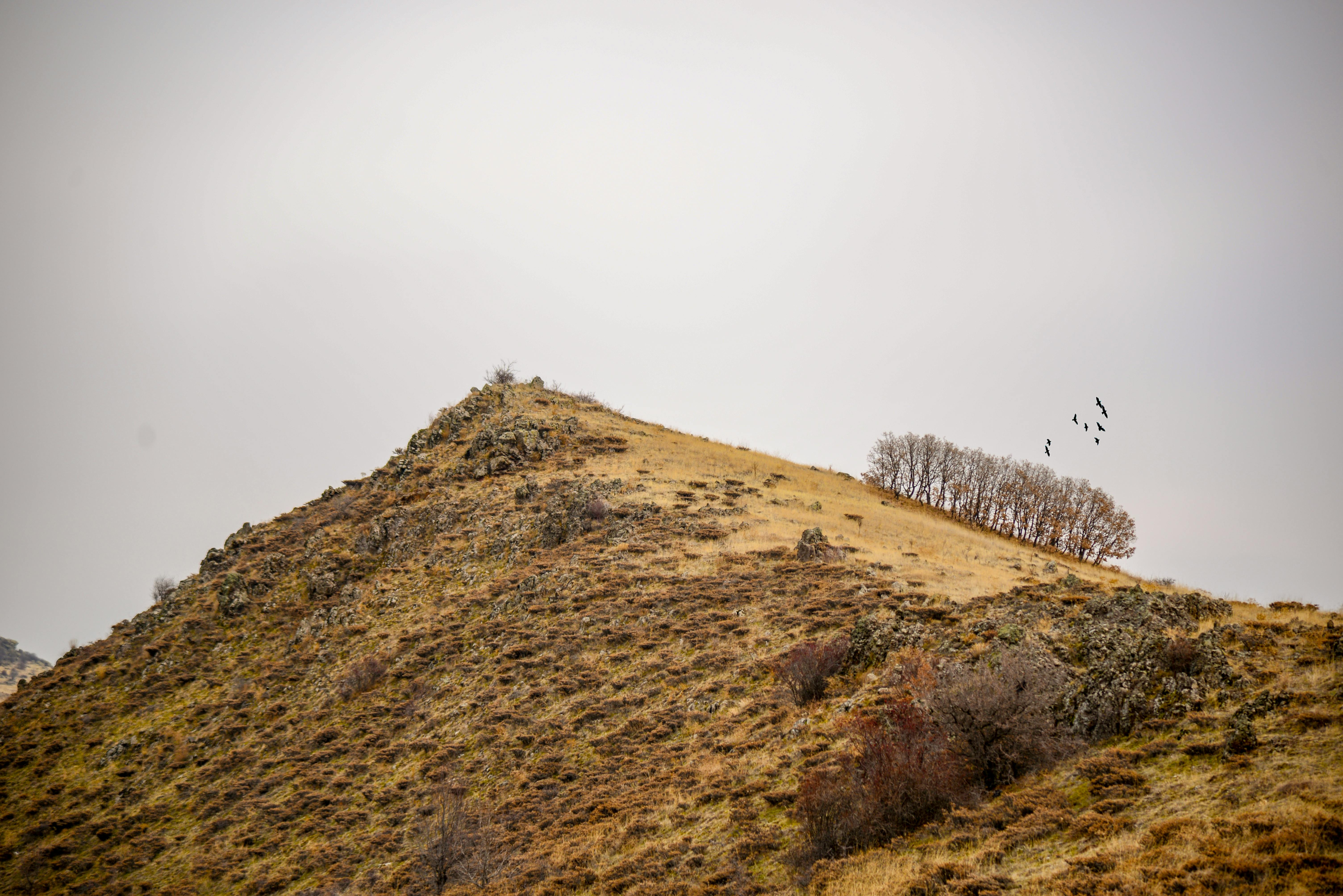 hill top dry land photo