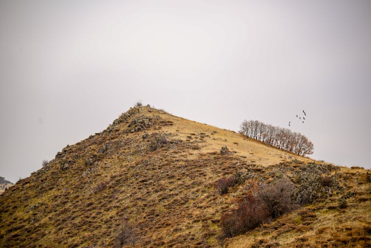 Hill Top Dry Land Photo