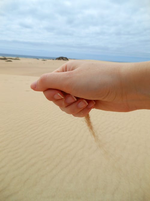 Free stock photo of beach, hand, hand with sand