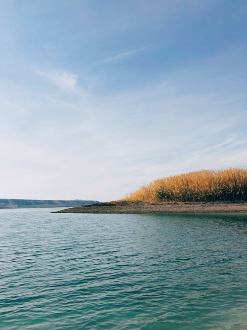 Kostenloses Stock Foto zu fluss, natur, see