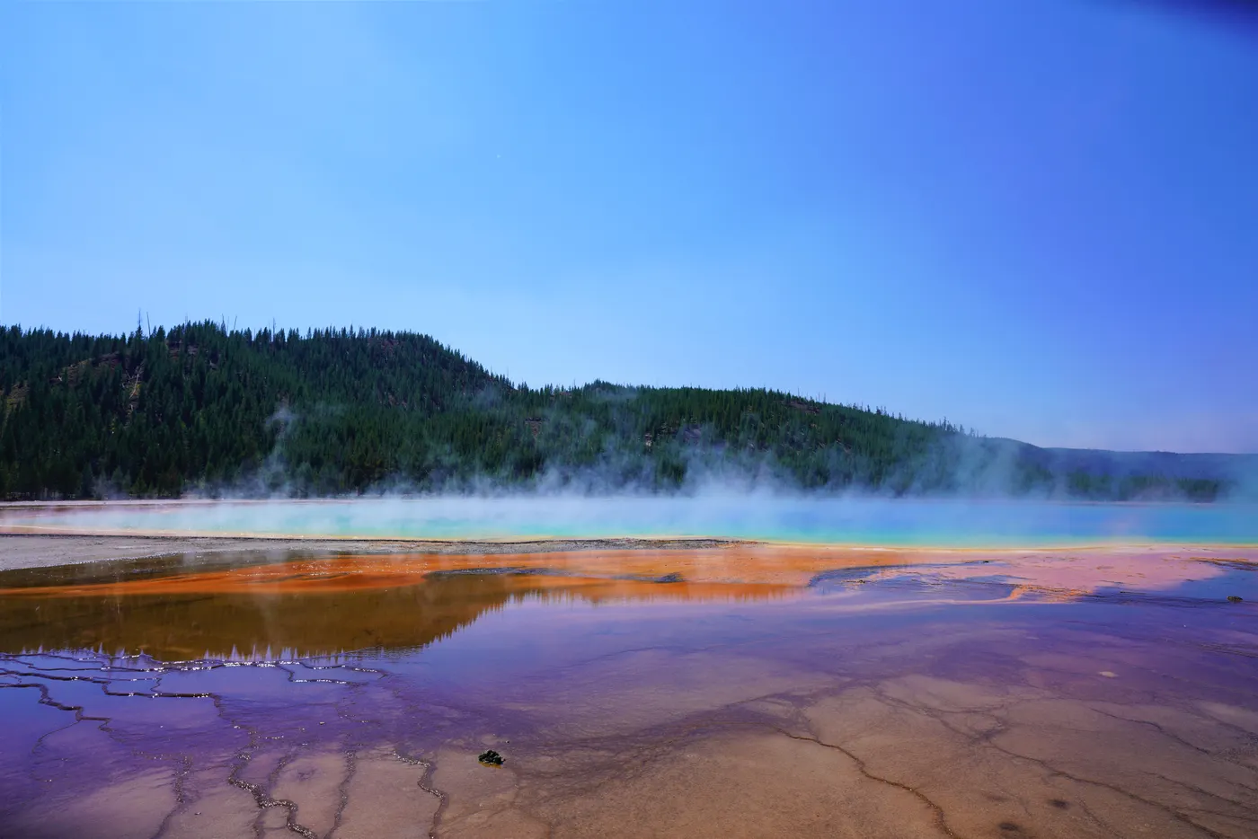 Steam rising off the coloured bands of Grand Prismatic Spring in Yellowstone Steam rising off the coloured bands of Grand Prismatic Spring in Yellowstone