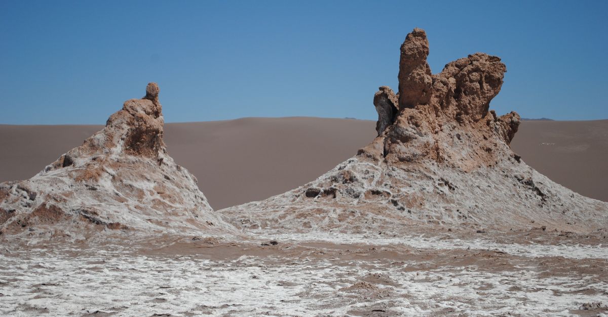 8 desiertos y ambientes extremos donde la vida prospera contra todo pronóstico 8 desiertos y ambientes extremos donde la vida prospera contra todo pronóstico