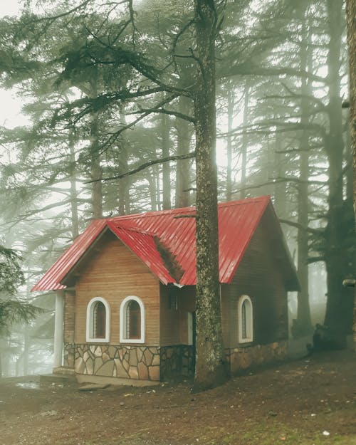 Fotobanka s bezplatnými fotkami na tému borovice, bungalov, chata z guľatiny