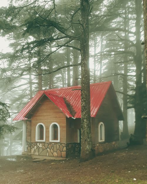Free A rustic cabin with red roof nestled among misty pine trees, offering a tranquil retreat. Stock Photo