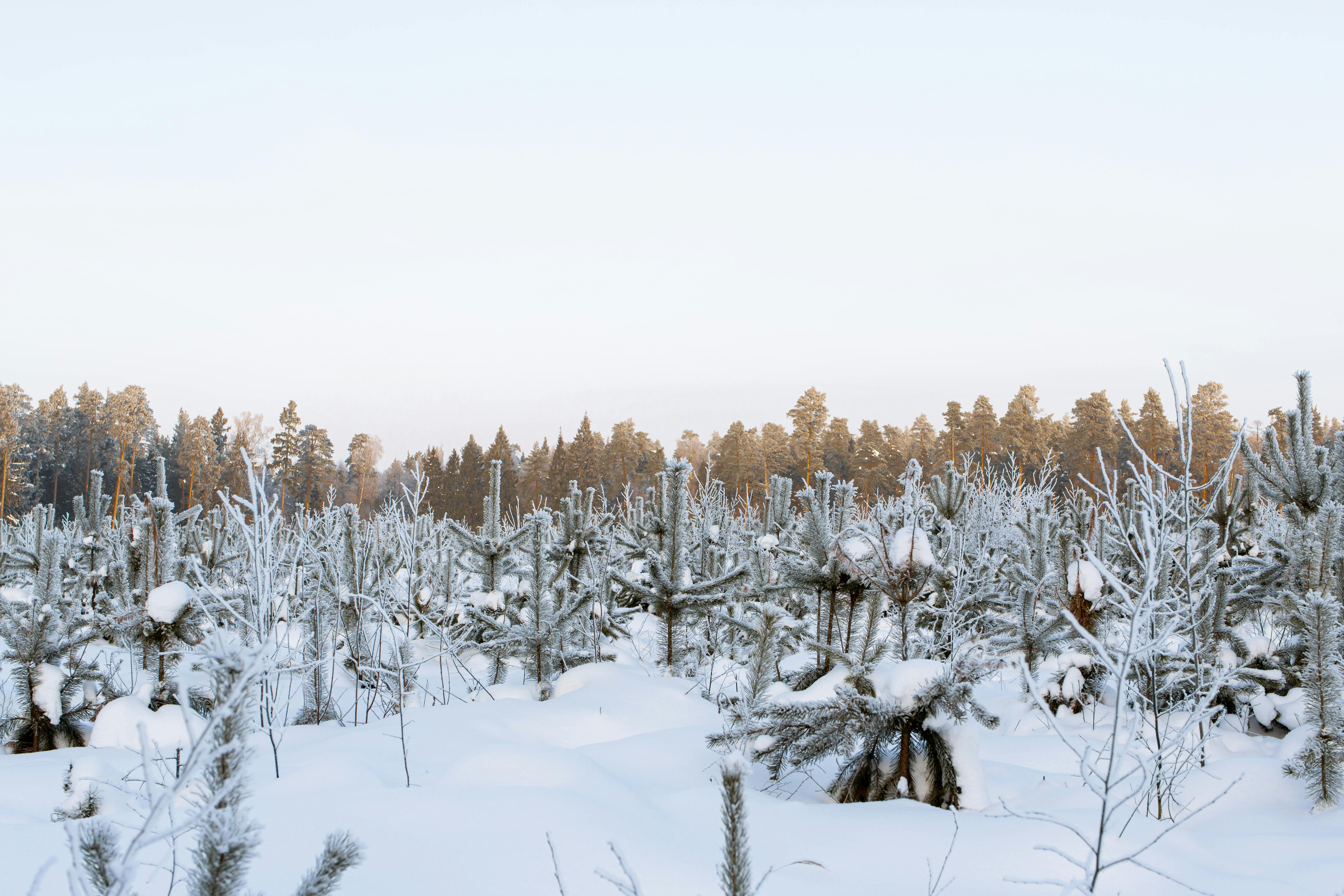 AI‑Powered Holiday Thumbnail Generator