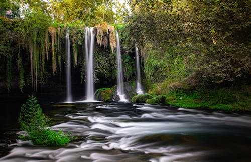 Water Falls in the Middle of Green Trees