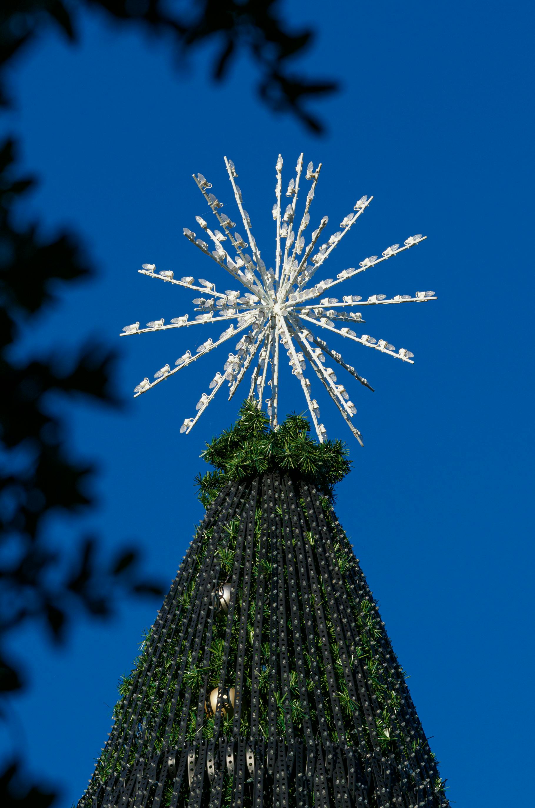 Star on Christmas Tree · Free Stock Photo