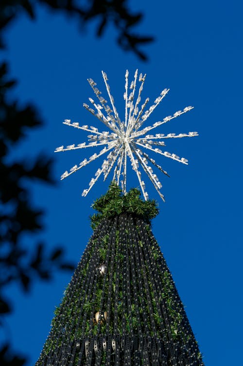 Photos gratuites de arbre de noël, célébrité, ciel clair