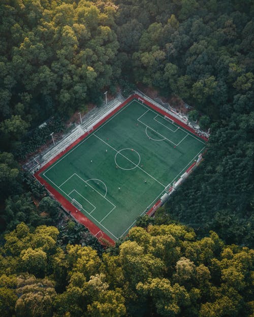 Free Soccer Pitch in Forest Stock Photo